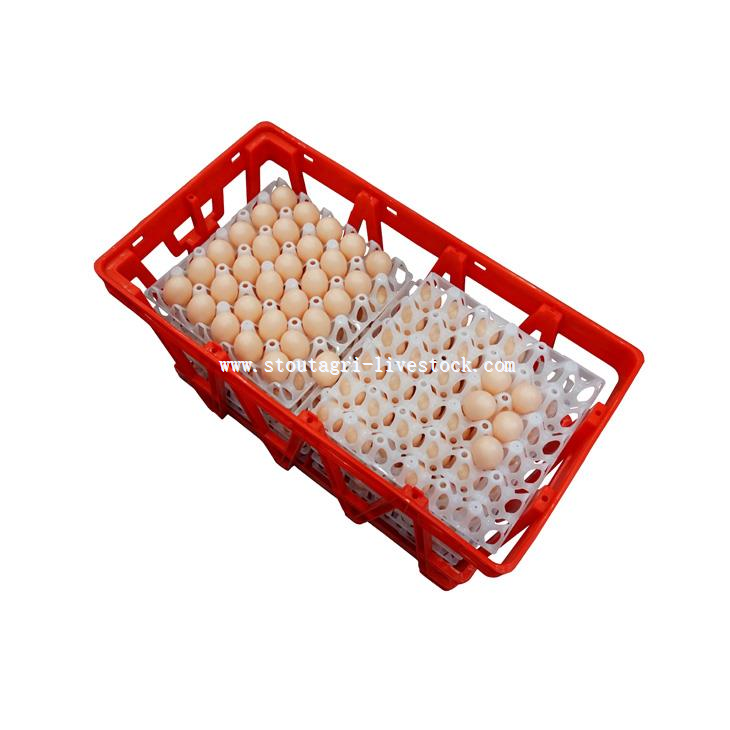 Poultry Egg Transport Crate