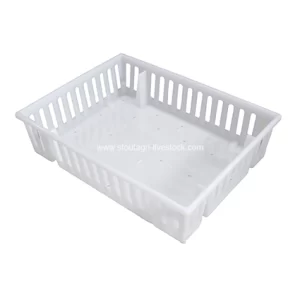 Caja de transporte para polluelos