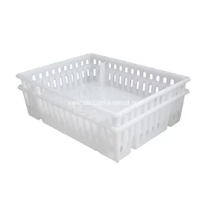 صندوق النقل للكتاكيت