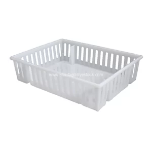 صندوق النقل للكتاكيت