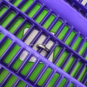 Alimentador de lechón de plástico dividido