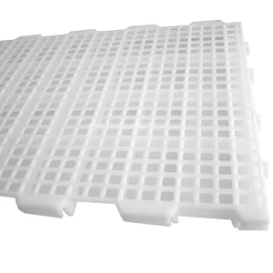 الشرائح البلاستيكية للدواجن البالغة