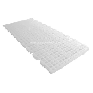 الشرائح البلاستيكية للدواجن البالغة