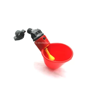 سقي كأس الدواجن