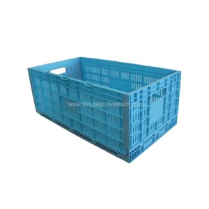 Panier de transport d'oeufs pliables