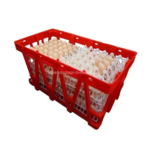 صناديق بيض الدجاج البلاستيكية