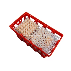 صناديق بيض الدجاج البلاستيكية