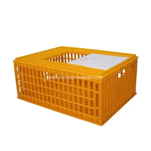 أربعة - طبقة نقل قفص الدواجن