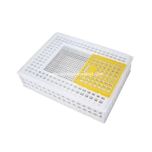 Транспортный ящик для цыплят и голубей