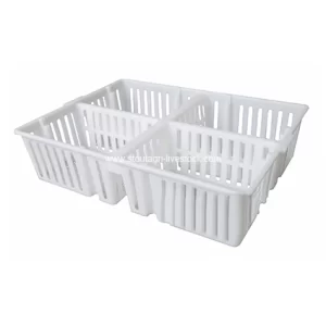 قفص النقل للكتاكيت