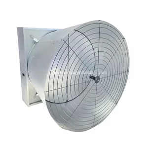 Fans de cono de mariposa