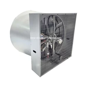 Fans de cono de mariposa