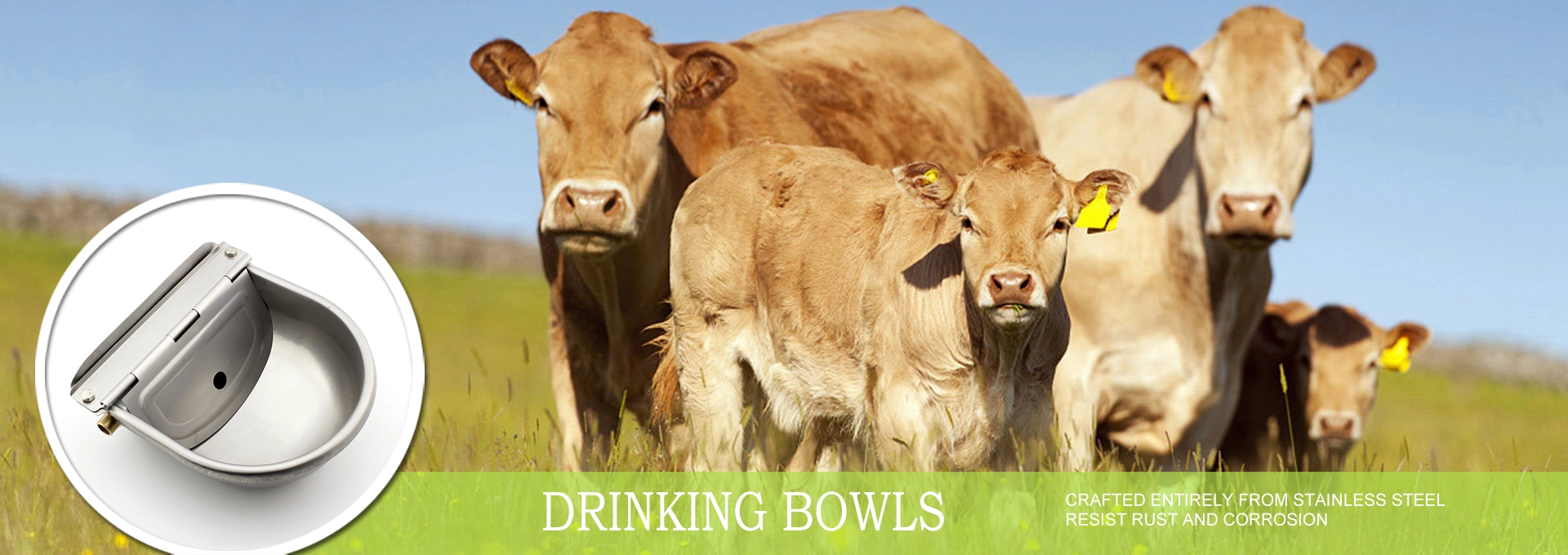 stoutagri livestock equipment