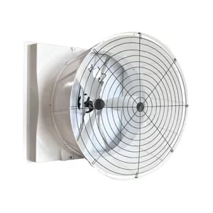 Fanáticos del cono de fibra de vidrio