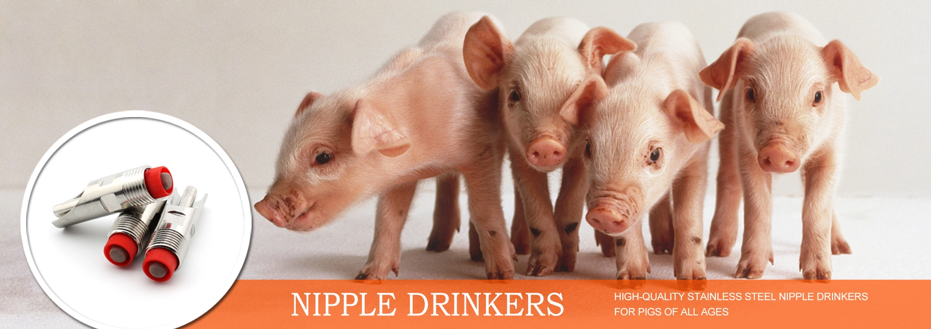 stoutagri pig equipment