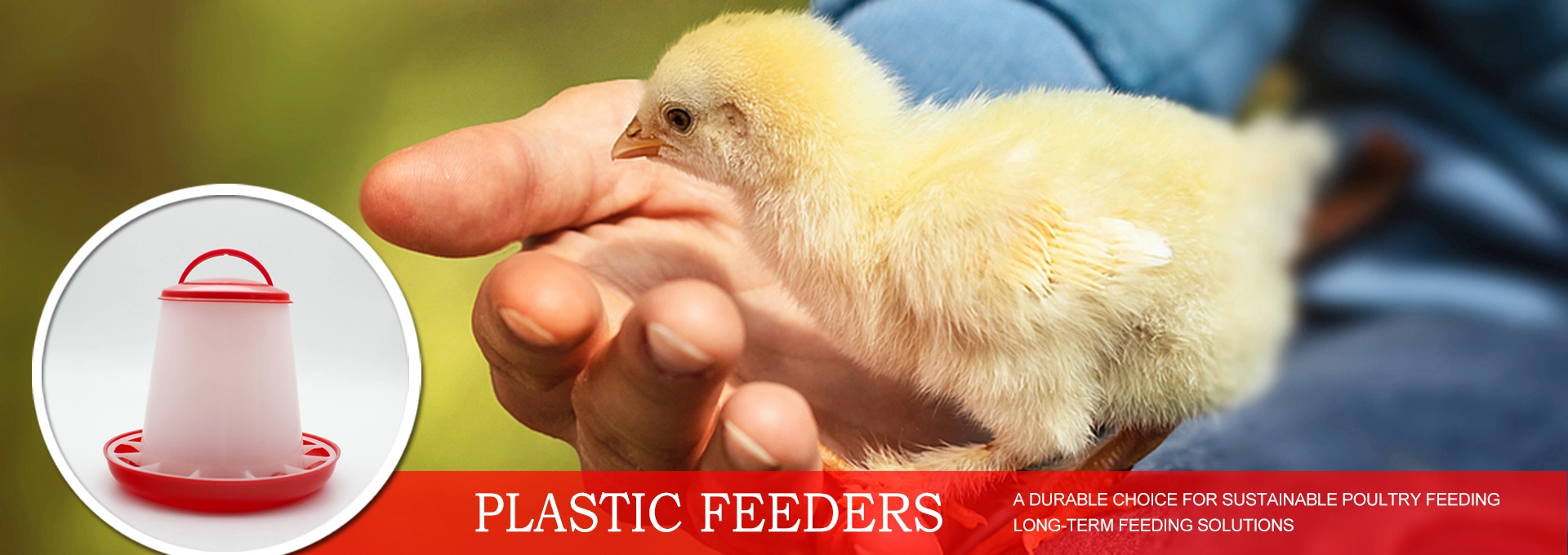 stoutagri poultry equipment