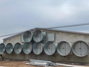 Kühlausrüstung für Schweinefarmen