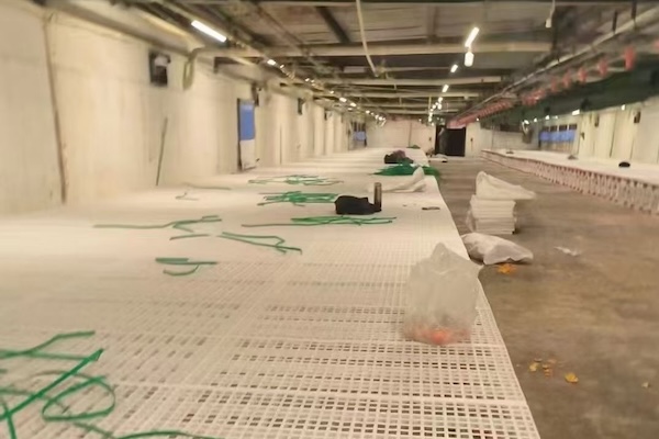 Plastik -Lattenböden in einem Broiler -Züchterboden - Typ Haus