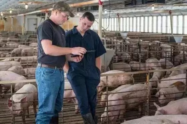 The necessity of advanced livestock equipment