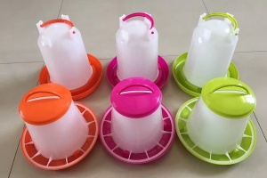 حلول معدات الدواجن المخصصة من StoutAgri