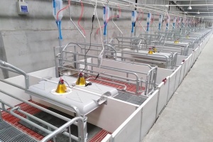 Инфракрасные тепловые лампы для скота