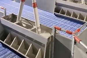 pig - use stainless steel double - sided feeders