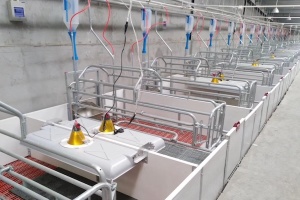 lampade riscaldanti a infrarossi