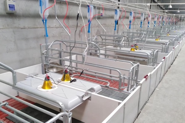 lámparas de calefacción por infrarrojos