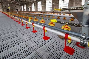 Plastic Poultry Slatted Flooring